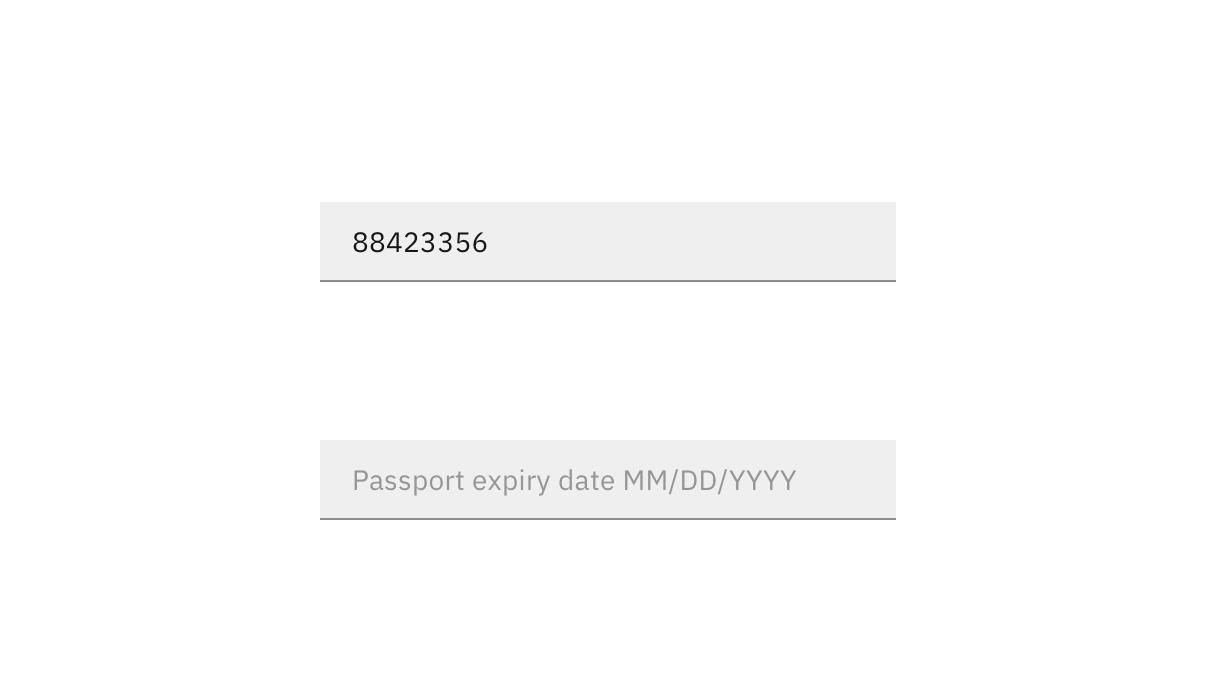 Bad example: two input fields with no labels, one filled out with numbers, and the other with placeholder text 'passport expiry date MM/DD/YYYY'